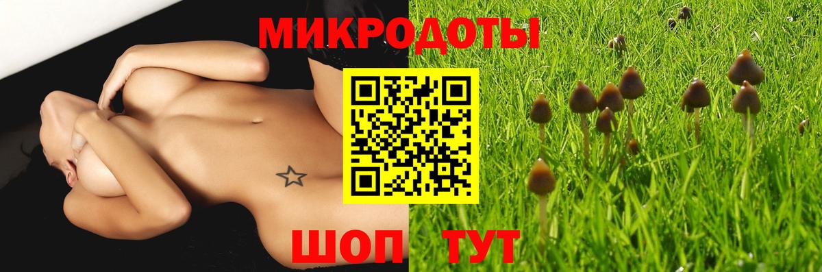 Псилоцибиновые грибы GOLDEN TEACHER Ульяновск